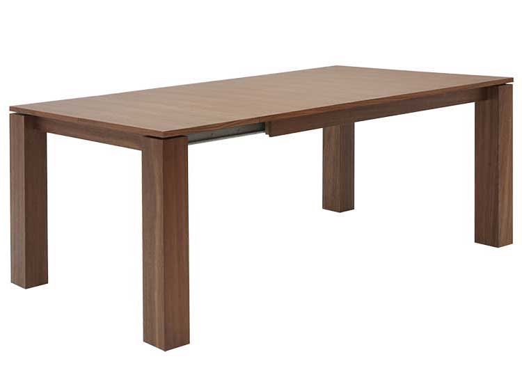 Dining Table (Used)