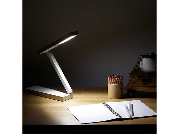 Desk Lamp (Used) #8