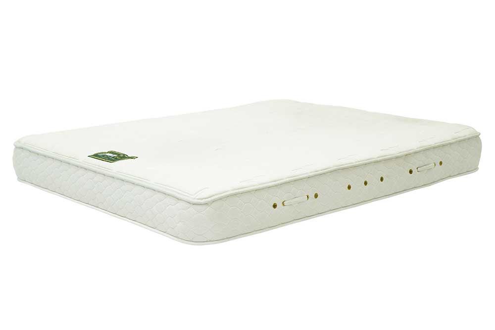 Queen-Size Mattress (Used)