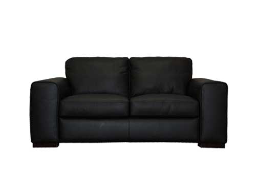 2P Sofa (Leather) (Used)