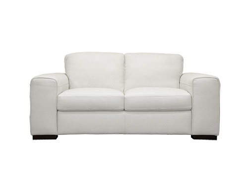 2P Sofa (Leather) (Used)