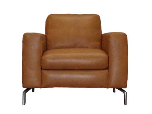 1P Sofa (Leather) (Used)