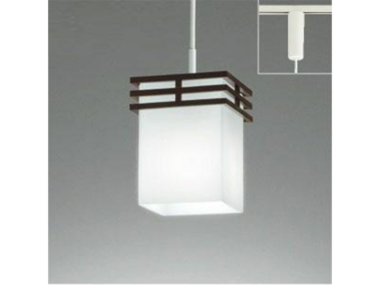 Pendant Lamp (Used)