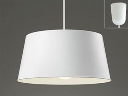 Pendant Lamp (Used)