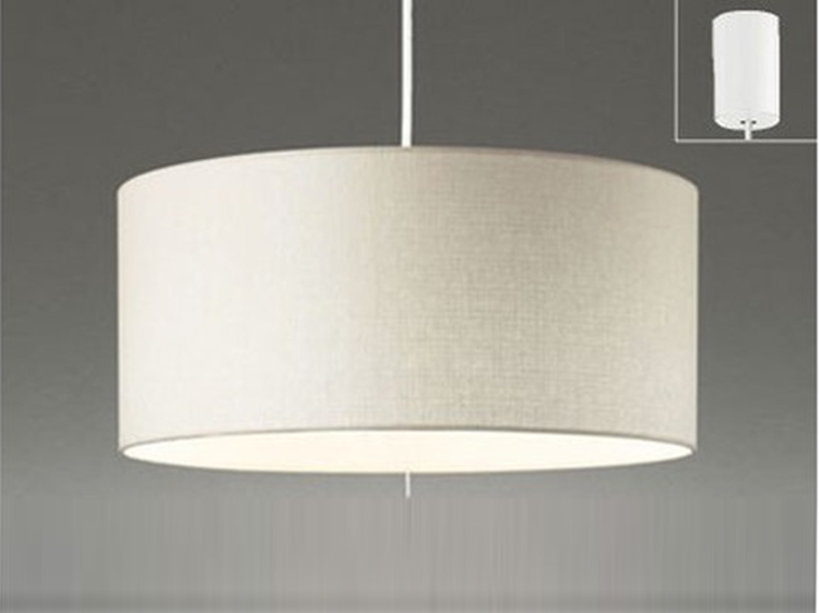 Pendant Lamp (Used)