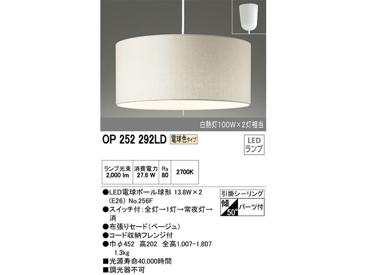 Pendant Lamp (Used) #3