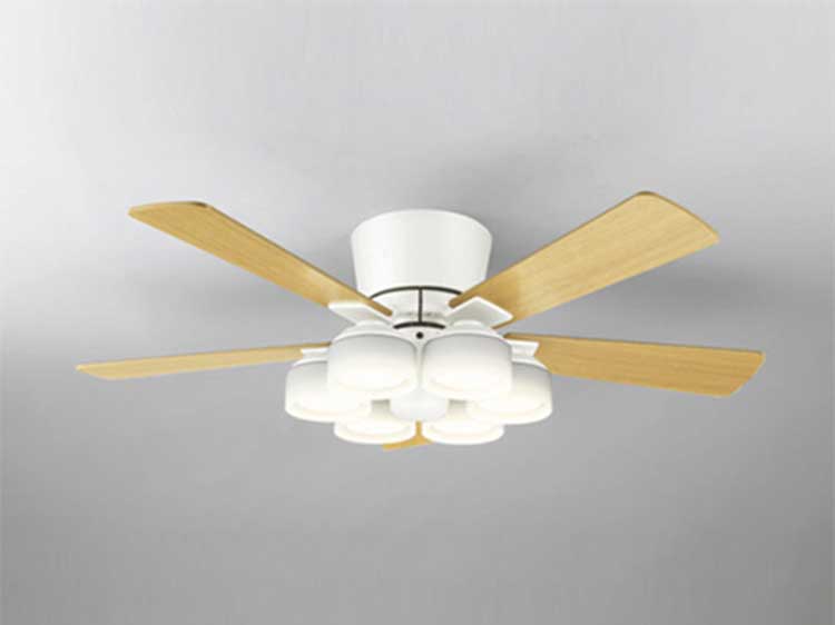 Ceiling Fan Lamp (Used)