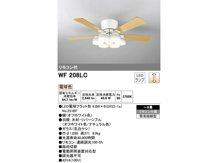 Ceiling Fan Lamp (Used) #7