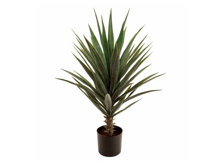 Art Plants (Used)