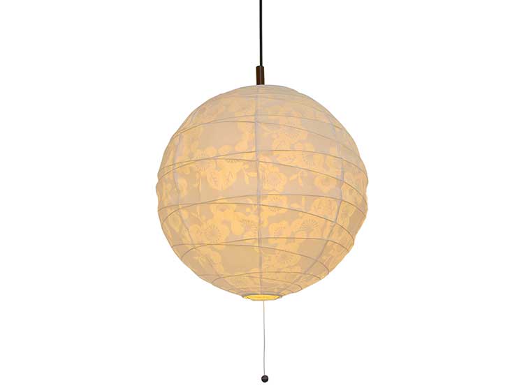 Pendant Lamp (Used)