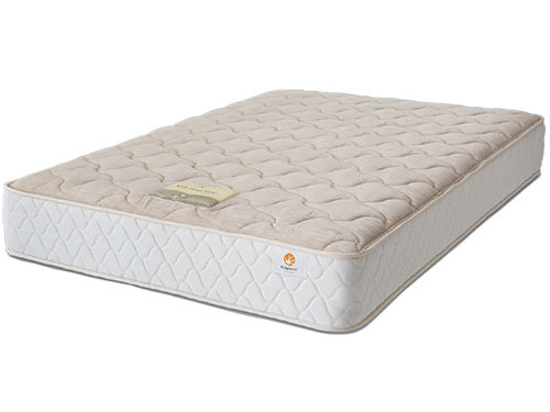 Queen Size Mattress (Used) #1