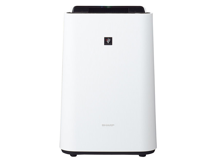 Humidifier Air Purifier (Used)