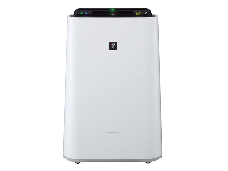 Humidifier Air Purifier (Used)