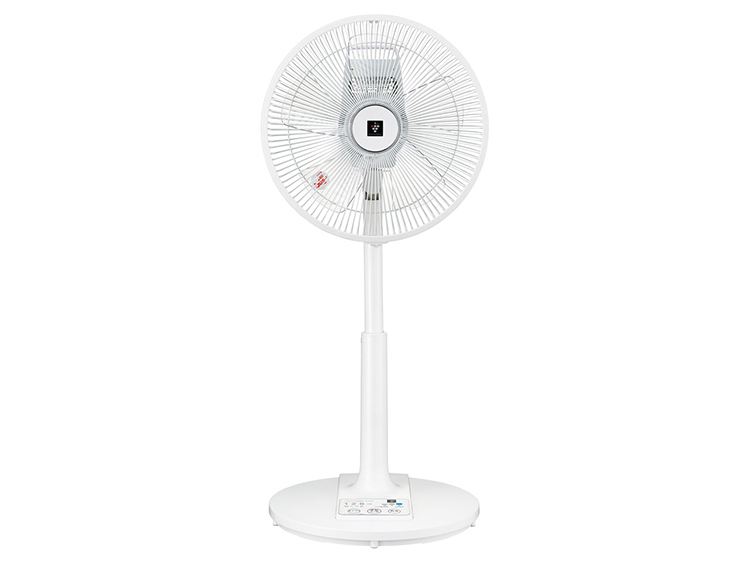 Electric Fan (Used)