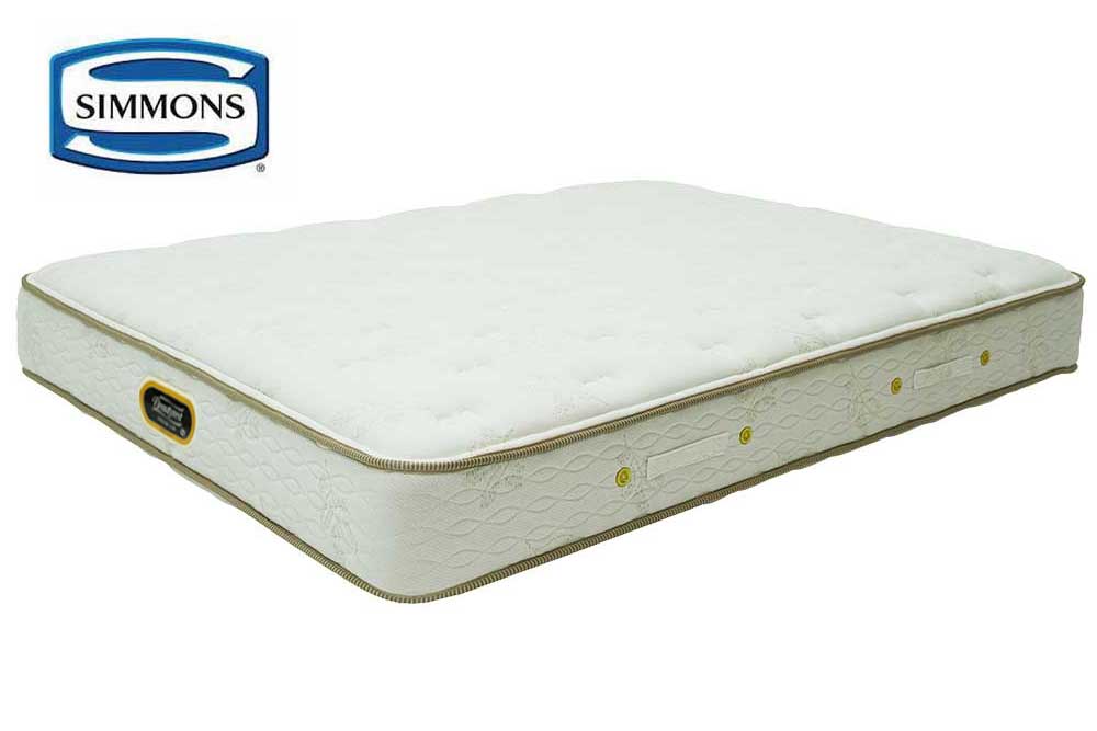 Queen-Size Mattress (Used)