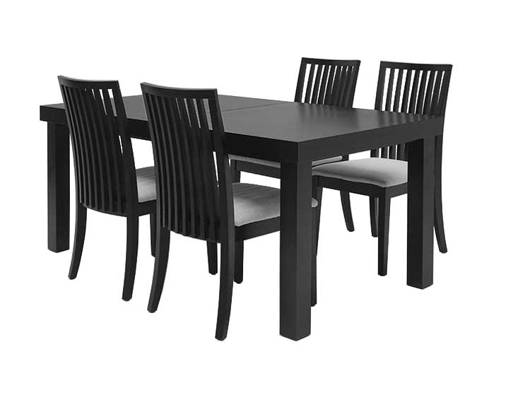 Dining Table with 4 chairs (Used)