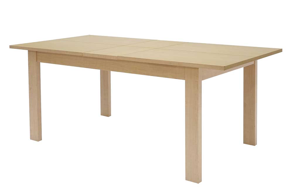 Dining Table (Used)
