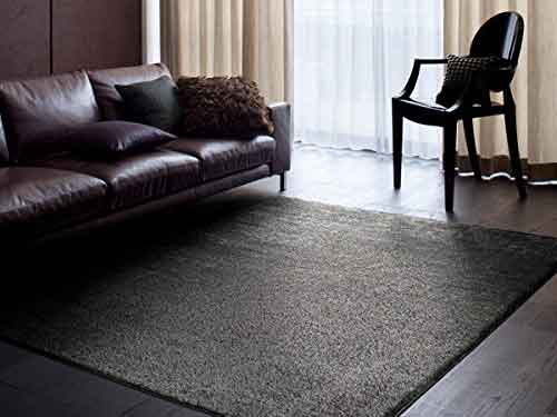 Rug (Used)