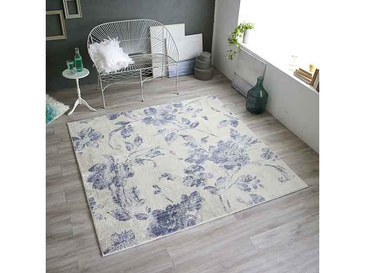 Rug (Used)