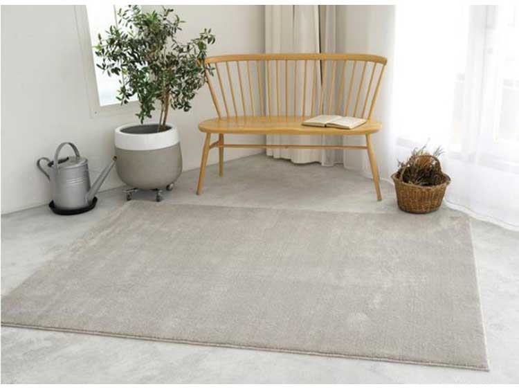 Rug (Used)
