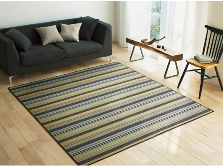 Rug (Used)