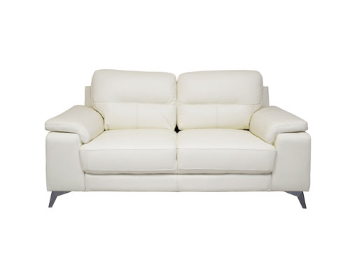 2P Sofa (Leather) (New)