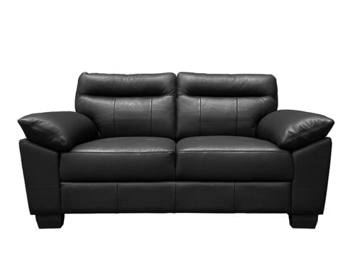 2P Sofa (Leather) (Used)