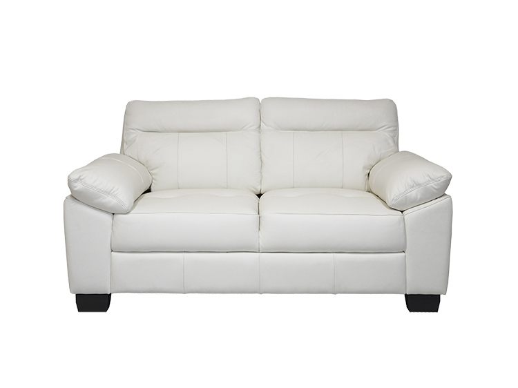 2P Sofa (New)