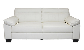 Leather Sofas
