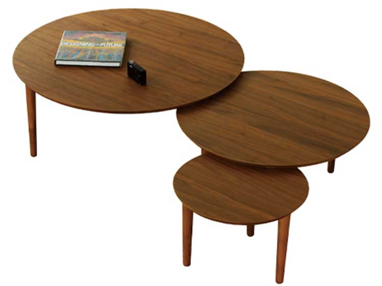 Coffee Table (Used)