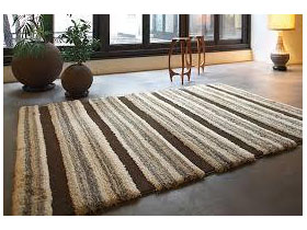 Rug (New)