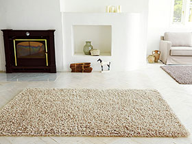 Rug (New)