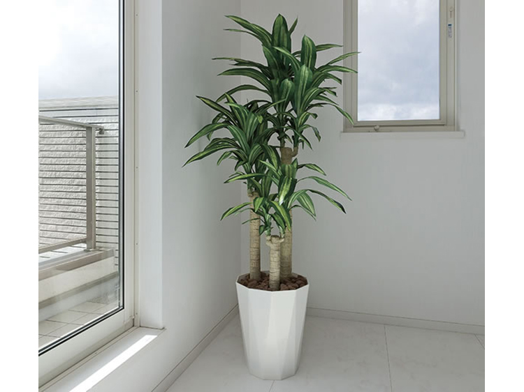 Art Plants (Used)