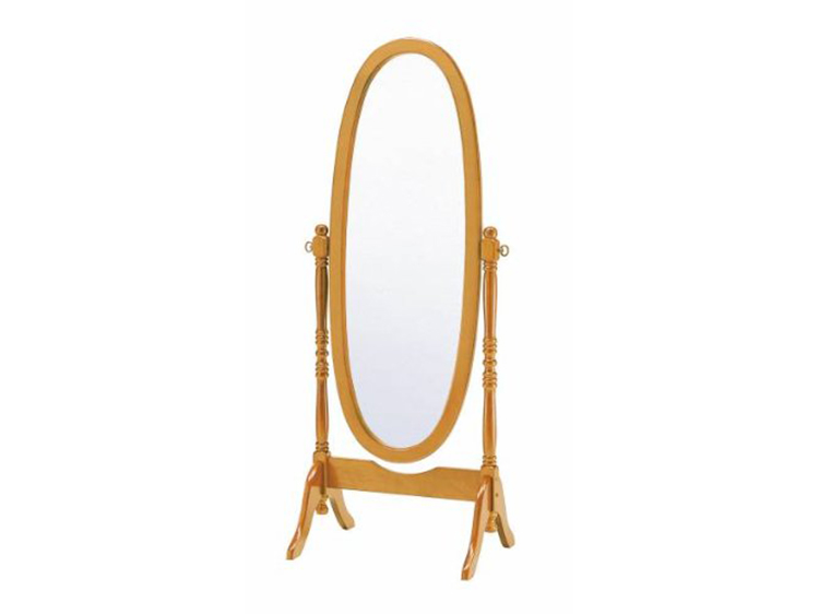 Stand Mirror (Used)