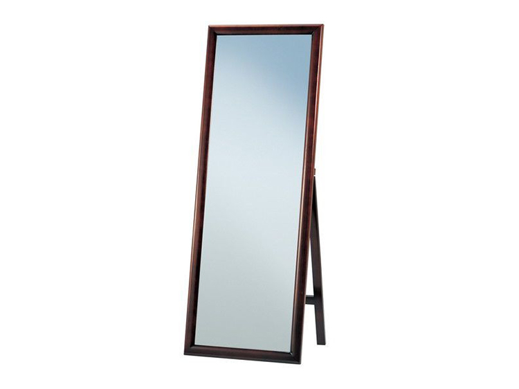 Stand Mirror (Used)