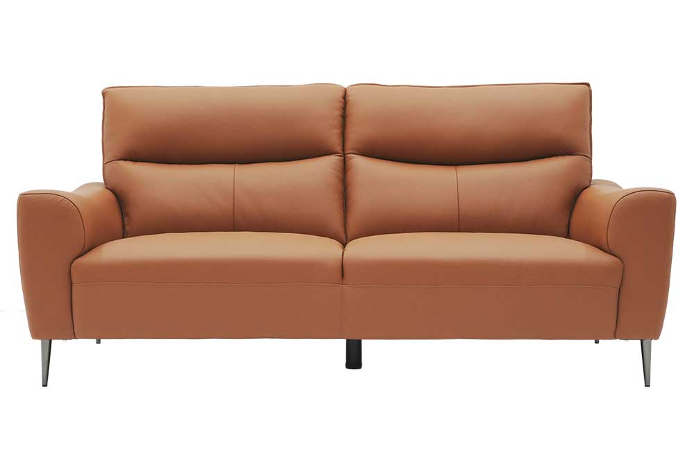 3P Sofa (New)