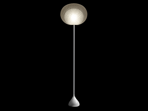 Floor Lamp (Used)